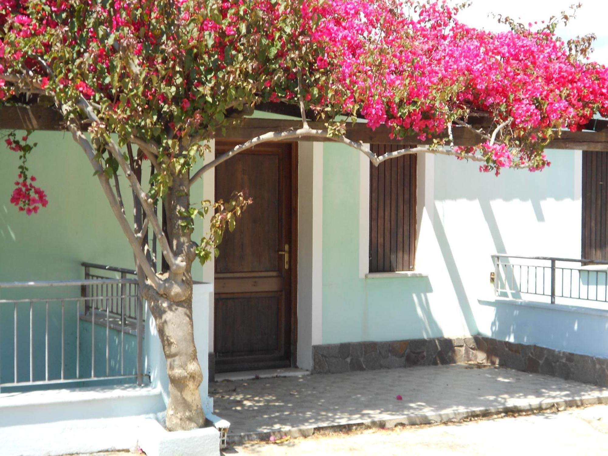 La Corte Degli Ulivi Cardedu Ngoại thất bức ảnh
